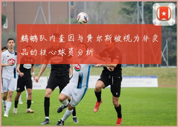 鹈鹕队内奎因与费尔斯被视为非卖品的核心球员分析