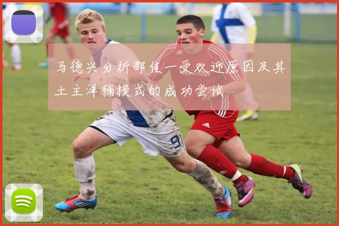 马德兴分析邵佳一受欢迎原因及其土主洋辅模式的成功尝试