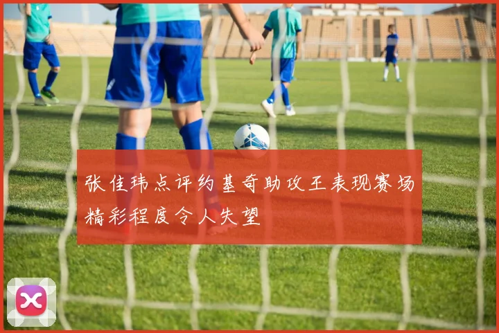 张佳玮点评约基奇助攻王表现赛场精彩程度令人失望