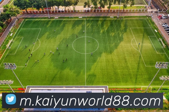 App Interface Preview